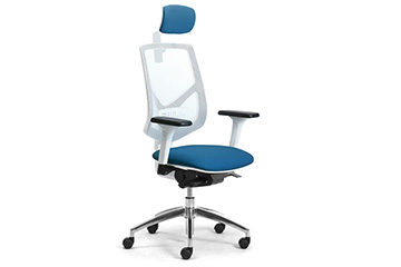 Office chairs with ergonomic mesh backrest and adjustable armrests Active RE